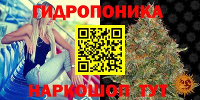 прущая мука Кимры