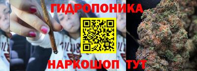 прущая мука Кимры