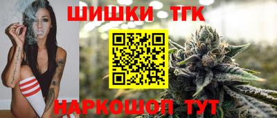 тгк Камышлов