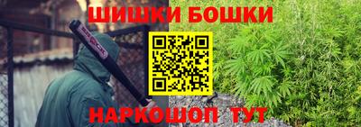 тгк Камышлов
