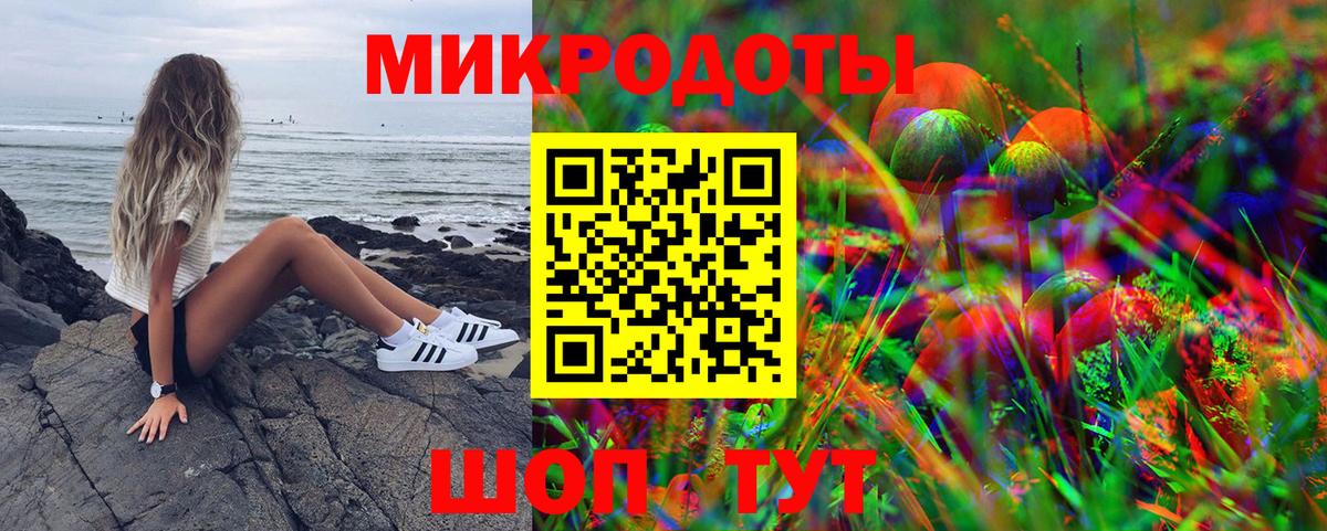 Псилоцибиновые грибы GOLDEN TEACHER  Вход с VPN  Кузнецк  как найти   Псилоцибиновые грибы Psilocybine cubensis 